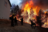 Les incendies de Los Angeles ont coûté 65 milliards de dollars
