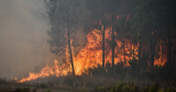 Incendies en Espagne : sept blessés graves et 11.500 hectares détruits