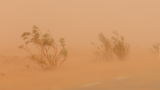 Impressionnante tempête de sable à Tozeur et Kébili