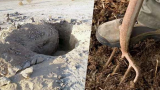 Mdhilla: Ils fouillaient sur un site archéologique...