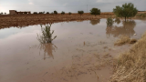 Pluies enregistrées ces 24 dernières heures