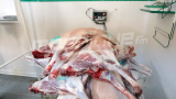 El Ouardia : Viande d’agneau à 40 dinars, de bœuf à 32