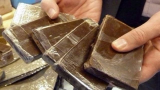 Gafsa : saisie de 2,5 kg de cannabis