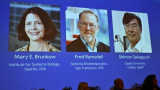 Nobel médecine : trois chercheurs derrière une percée immunitaire