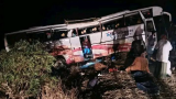 Bizerte: Un bus se renverse...25 ouvriers hospitalisés