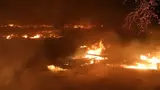 Algérie: Incendies à Tipaza... Une nuit d'enfer
