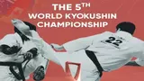 Championnats du monde de Kyokushinkai: Deux médailles pour la Tunisie