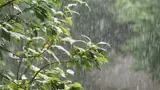Météo : Nuages denses et pluies éparses, l’après-midi