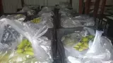 Saisie de plus d’une tonne de bananes de contrebande
